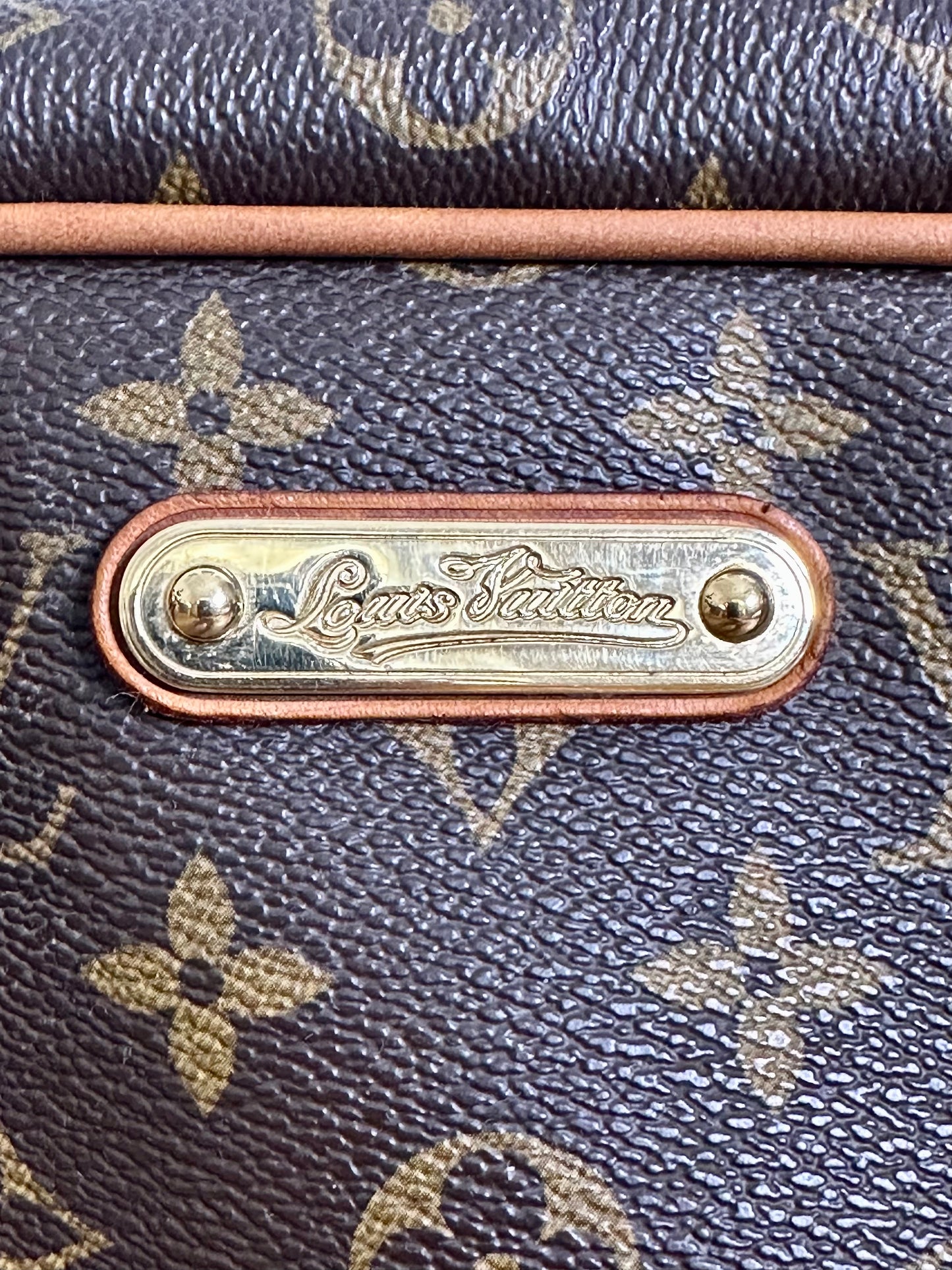 SAC LOUIS VUITTON